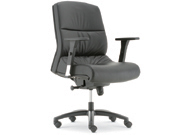 Medium Back Chair