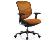 Mesh Medium Back ChairCG-E-LAM_Office Furniture_Mesh Medium Back Chair_Office Chair