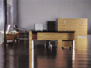Fashion Executive Desk