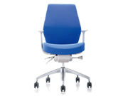 Medium Back Chair