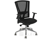 Mesh Medium Back Chair