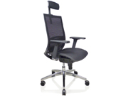 Mesh Executive Chair