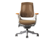 Mesh Medium Back ChairCG-WAU-01M_Office Furniture_Mesh Medium Back Chair_Office Chair