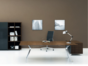 Fashion Executive Desk