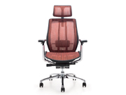 Mesh Executive Chair CG-988