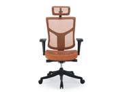 Mesh Executive Chair